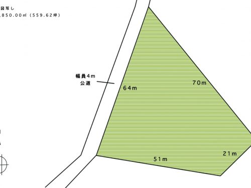 公図写し 公図写し