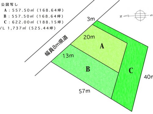 公図写し 公図写し