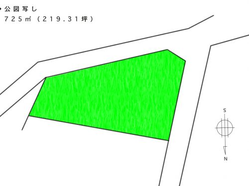 公図写し 公図写し