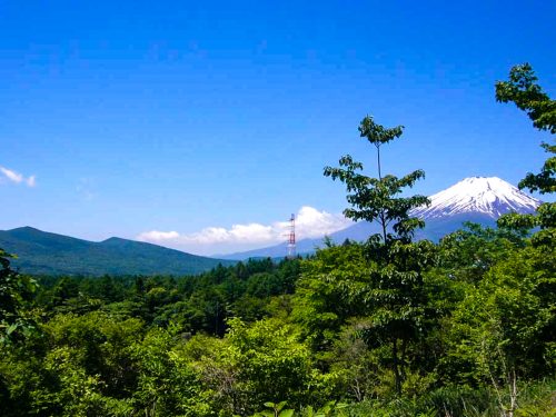 富士山(周辺) 富士山(周辺)