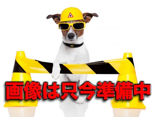 只今、画像準備中 只今、画像準備中